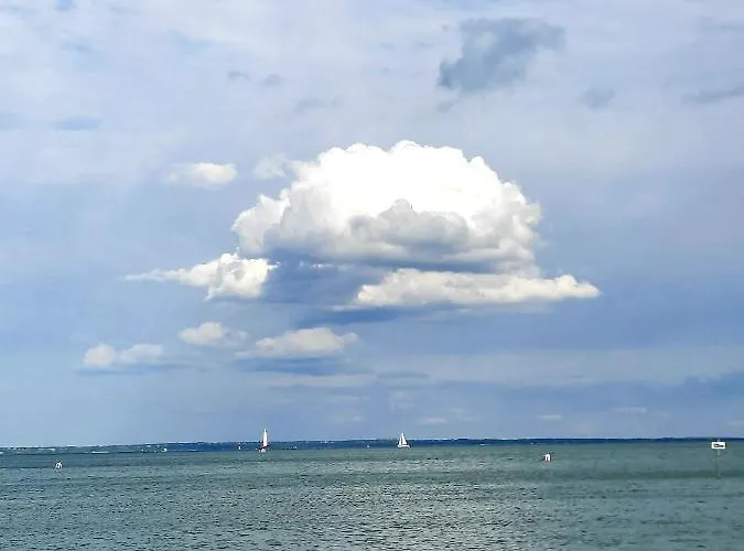 Harmonia Vendeghaz *