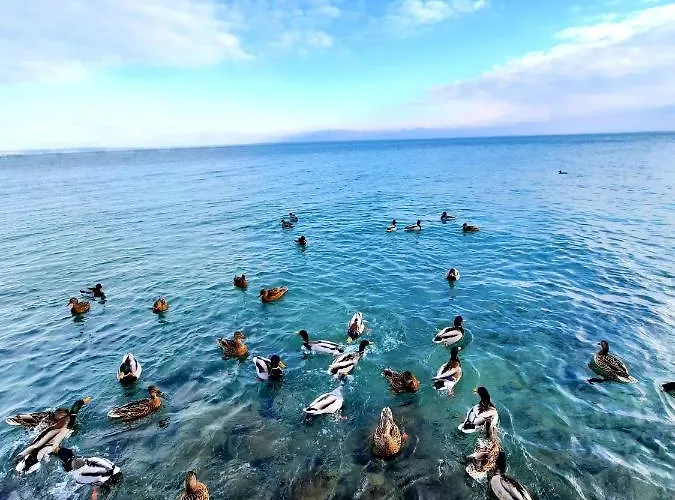 Appartement Harmonia Vendeghaz